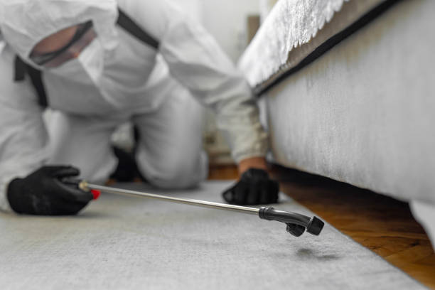 Professional Bed Bug Control technician working in Baldwin County County, GA